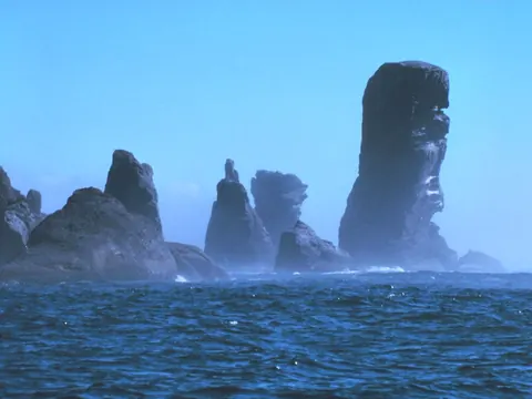 Steep green headlands and sea stacks at Cape Flattery, with white surf below.